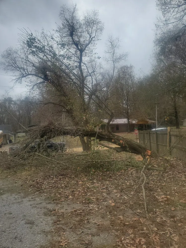 Professional residential landscaping in Vicksburg, MS - Parker's Lawns