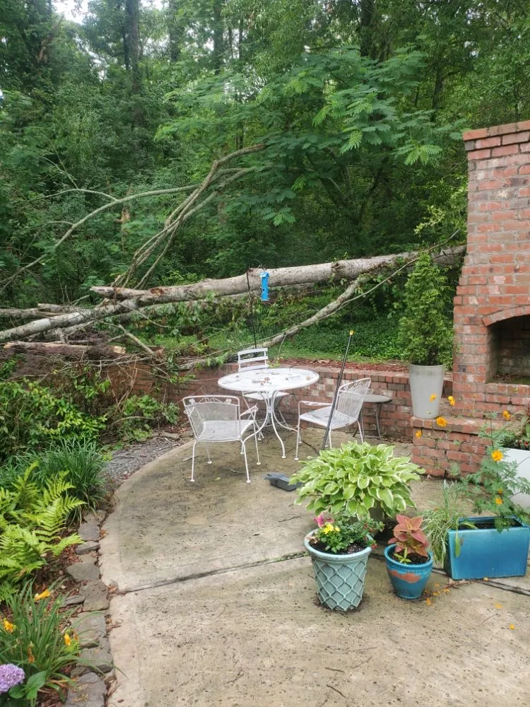 Expert residential landscaping for residential properties in Vicksburg, MS by Parker's Lawns