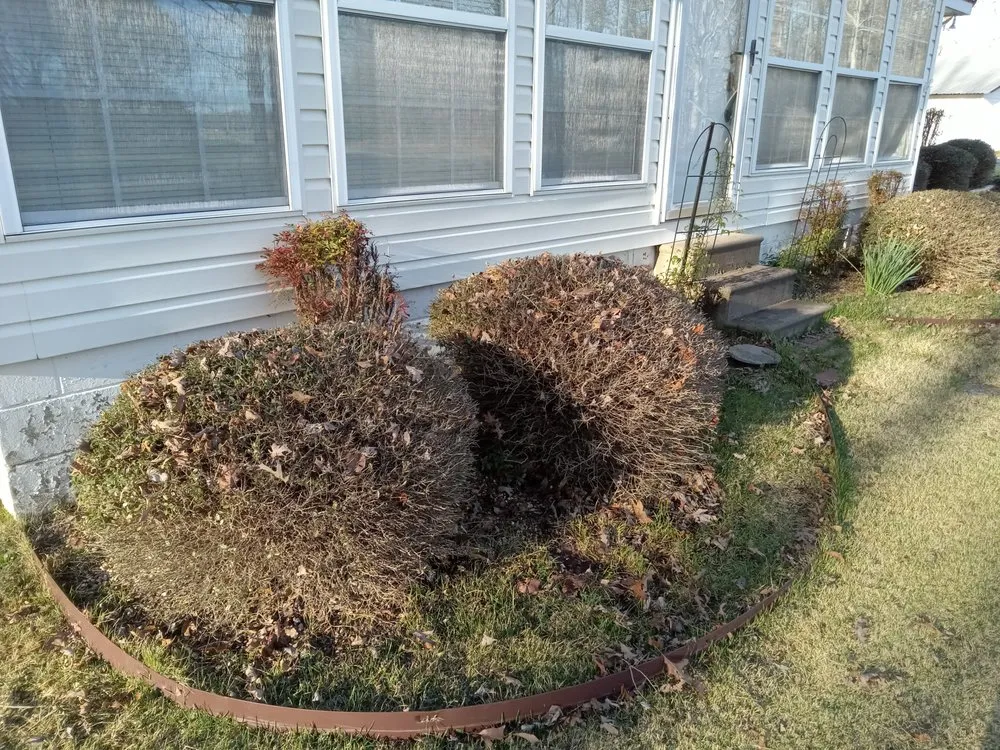 Custom outdoor landscaping in Killen, AL by Parkers Outdoors