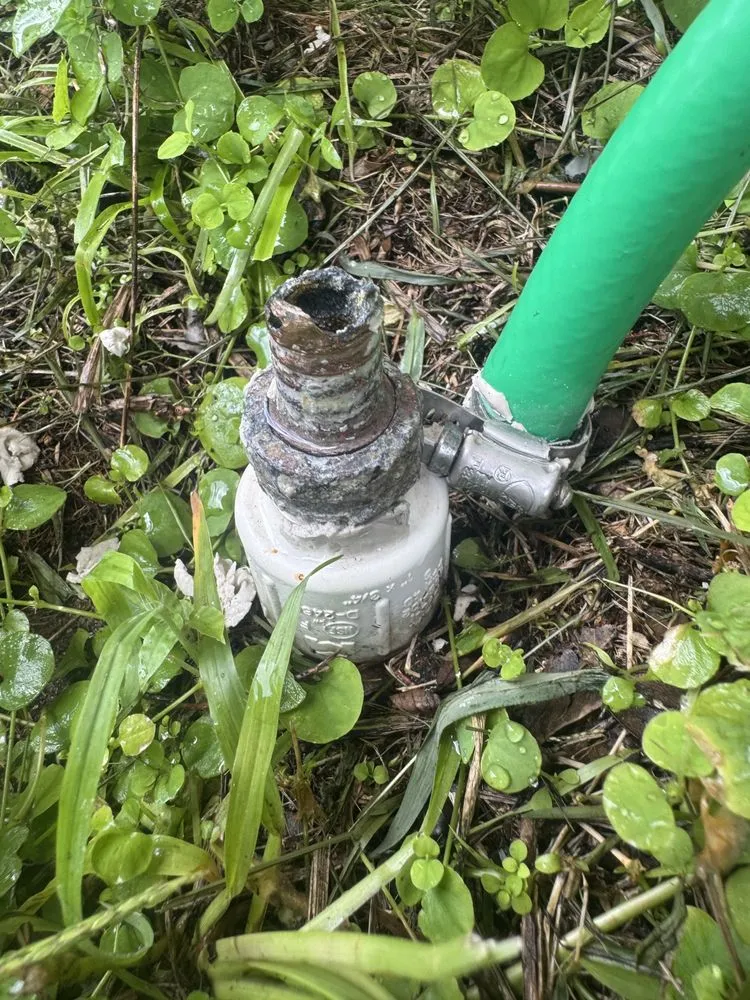 Reliable outdoor landscaping in Cocoa, FL by Parker’s Precision Wash