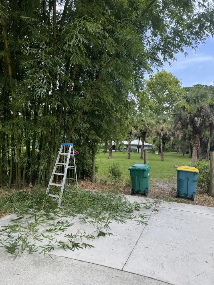 Custom yard maintenance in Cocoa, FL - Parker’s Precision Wash