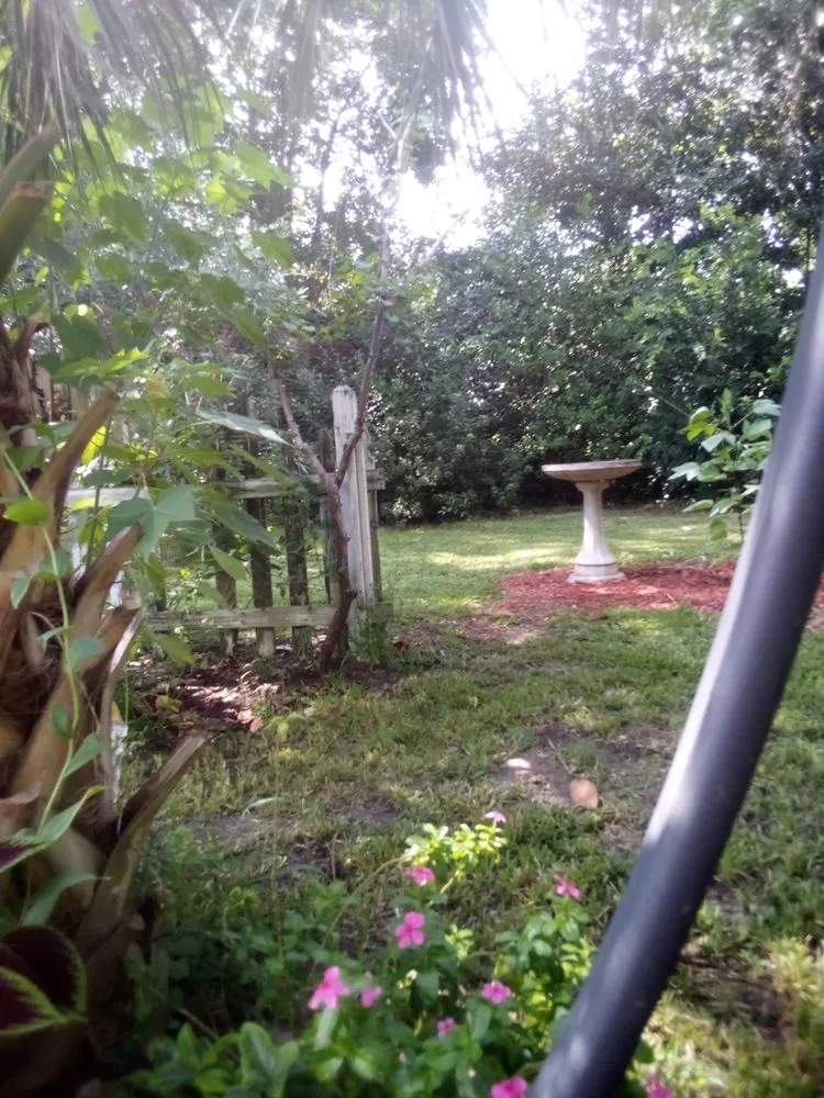 Local lawn care service experts serving Ocilla, GA - Parkers property projects