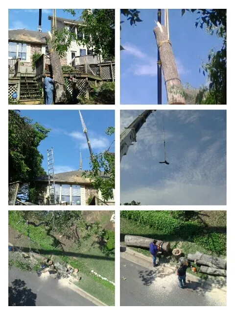 Expert outdoor landscaping experts serving Grapevine, TX - Parker's Tree Service