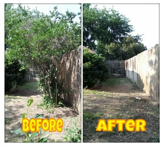 Custom yard maintenance experts serving Grapevine, TX - Parker's Tree Service
