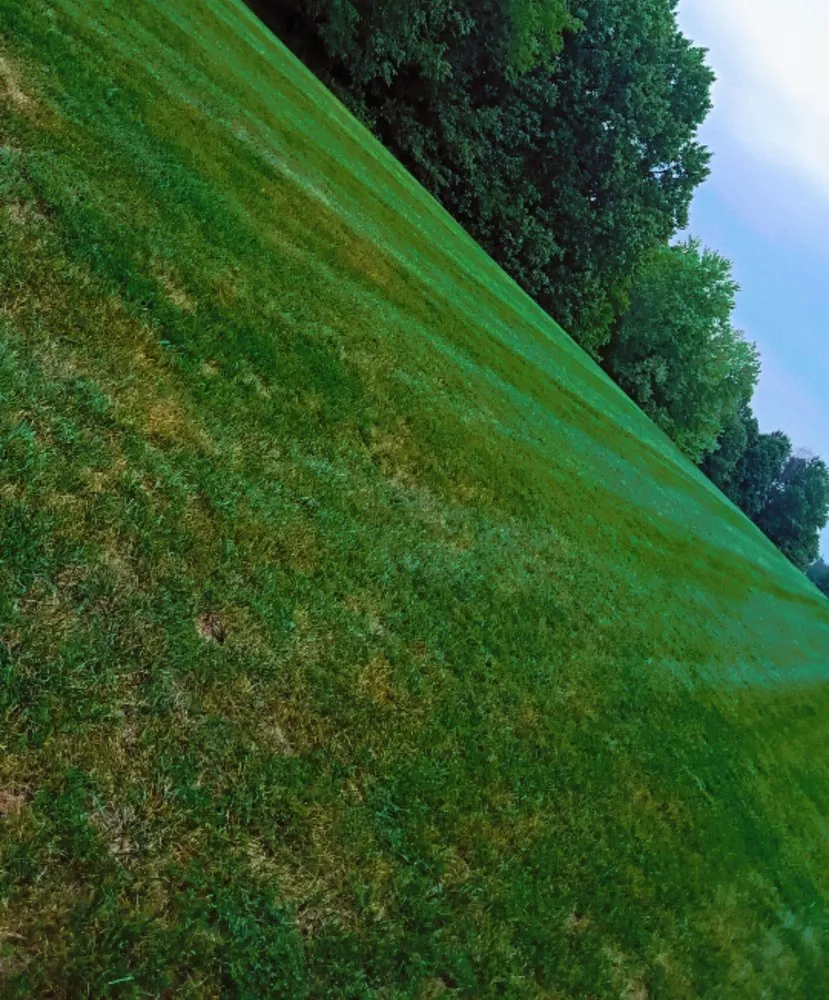 Custom lawn mowing service experts serving Quincy, IL - Parker's Turf Management