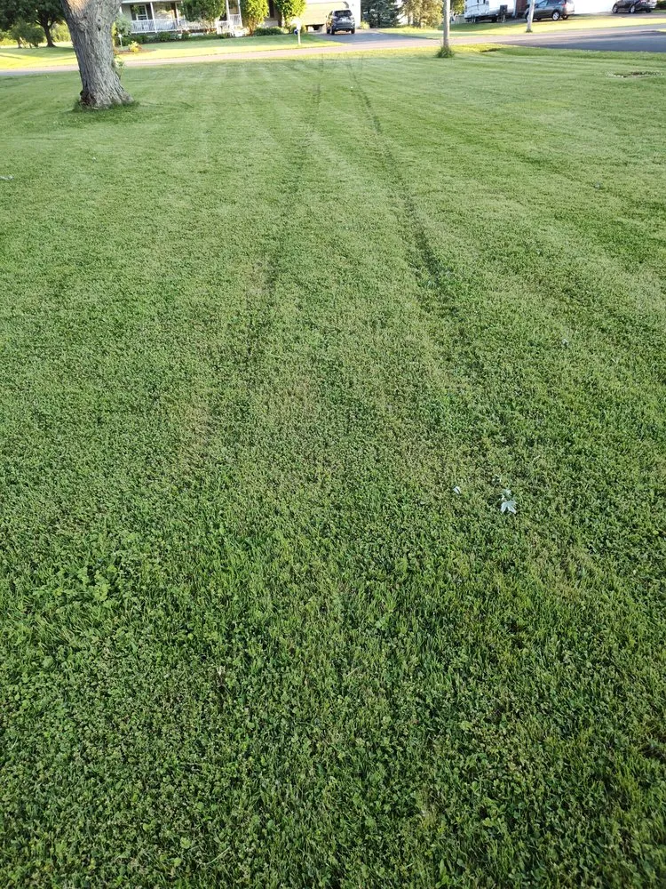 Custom landscape installation in Sanborn, NY - Parkhill Tree and Land Management