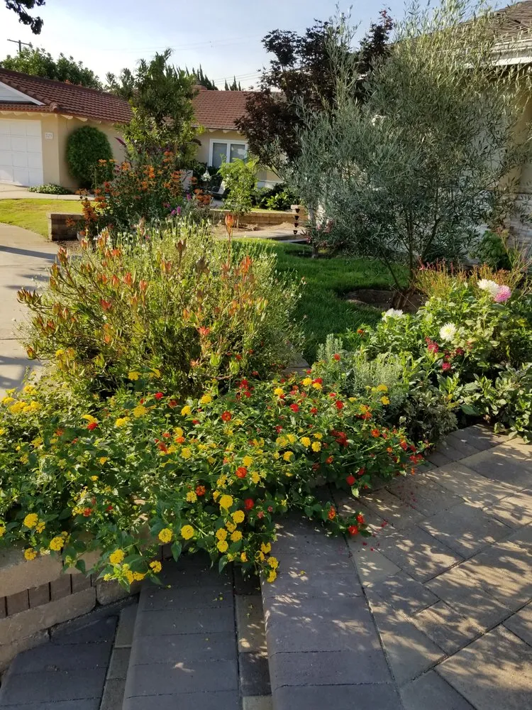 Trusted residential landscaping for residential properties across Monterey Park, CA - Parklife Landscape