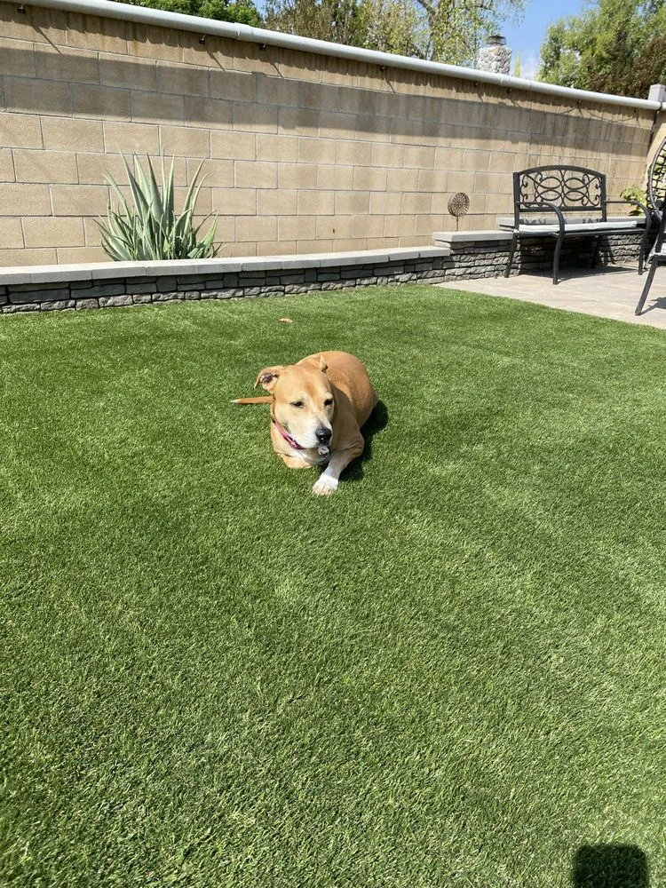 Expert garden landscaping in Monterey Park, CA by Parklife Landscape