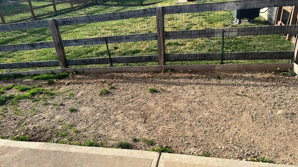 Professional yard maintenance for homes across Mason, OH - Parks & Co Landscaping