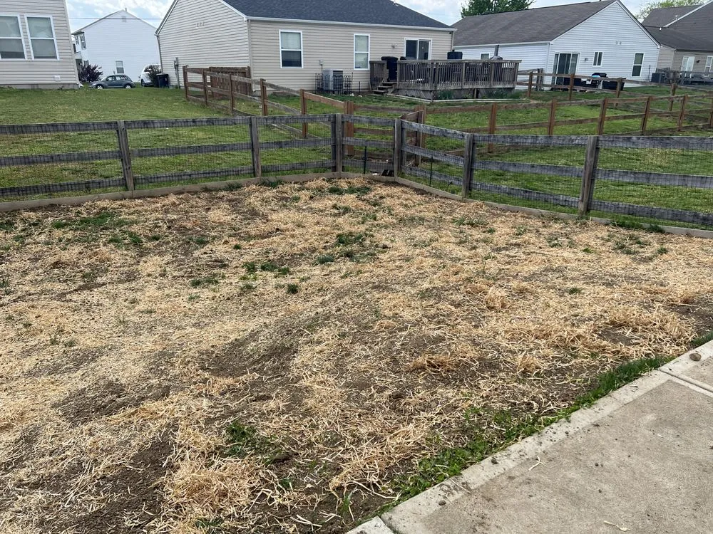 Reliable lawn care service in Mason, OH - Parks & Co Landscaping