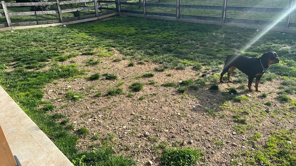 Affordable landscape installation in Mason, OH by Parks & Co Landscaping