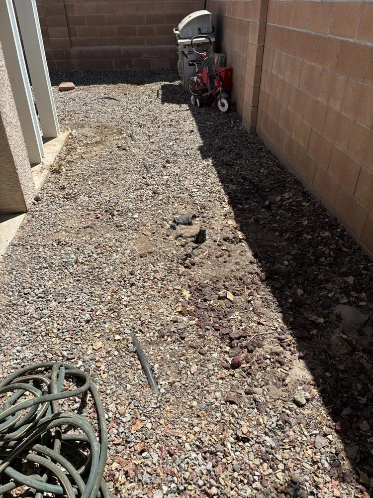 Affordable residential landscaping in Rio Rancho, NM - Parks 505 Lawn Care