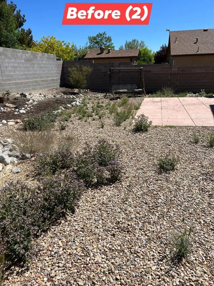 Top-rated lawn care service for residential properties across Rio Rancho, NM - Parks 505 Lawn Care