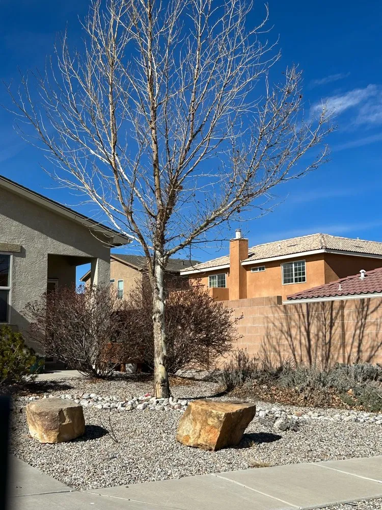 Reliable outdoor landscaping in Rio Rancho, NM by Parks 505 Lawn Care