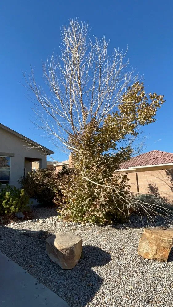 Expert yard maintenance in Rio Rancho, NM - Parks 505 Lawn Care