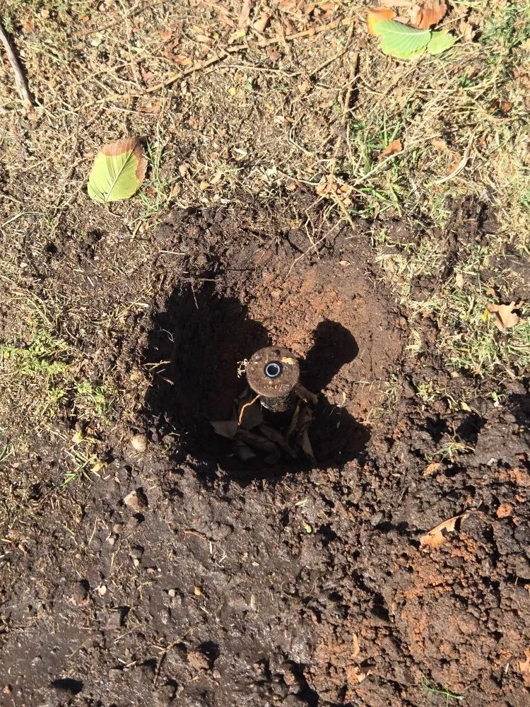 Affordable yard maintenance for outdoor upgrades in Altus, OK by Parks Lawn Care