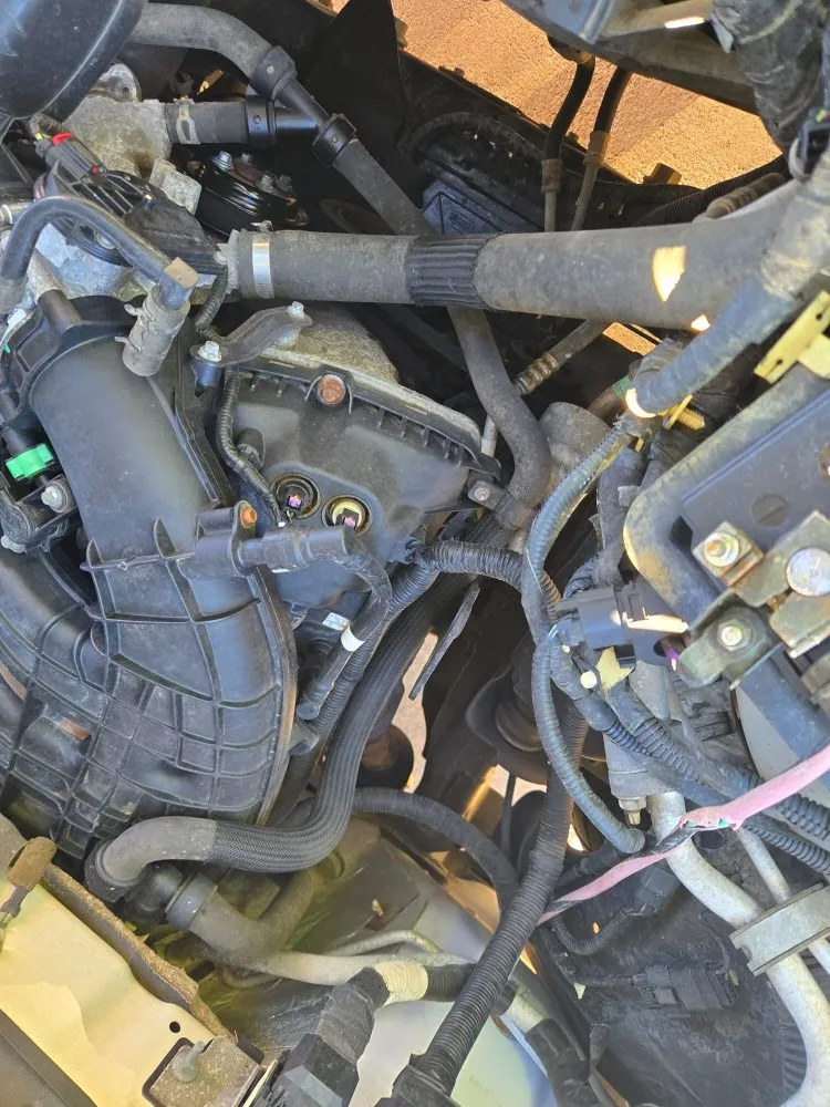 Affordable yard cleanup service for homes in Altus, OK by Parks Lawn Care