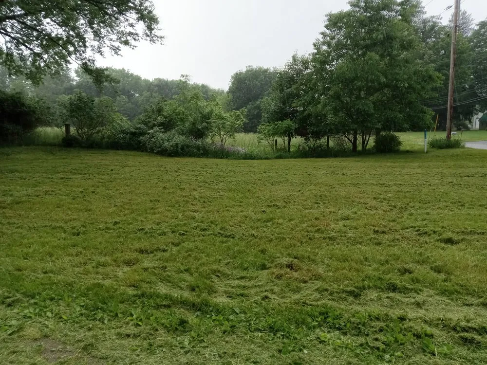 Expert outdoor landscaping for beautiful yards in Jamestown, NY by Parks Lawn Care