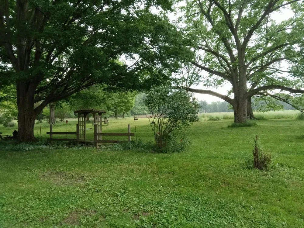 Affordable landscaping services for beautiful yards across Jamestown, NY - Parks Lawn Care