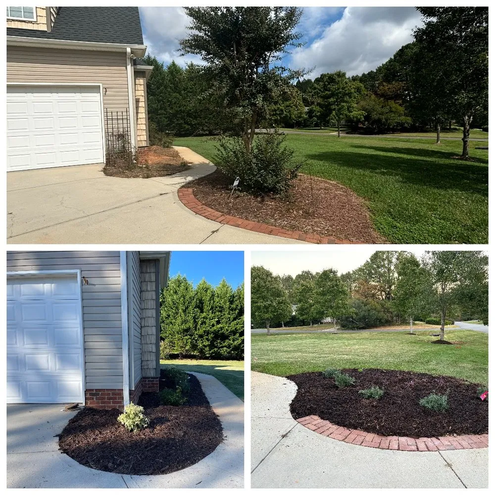 Trusted yard maintenance in York, SC - Parks Lawn Care