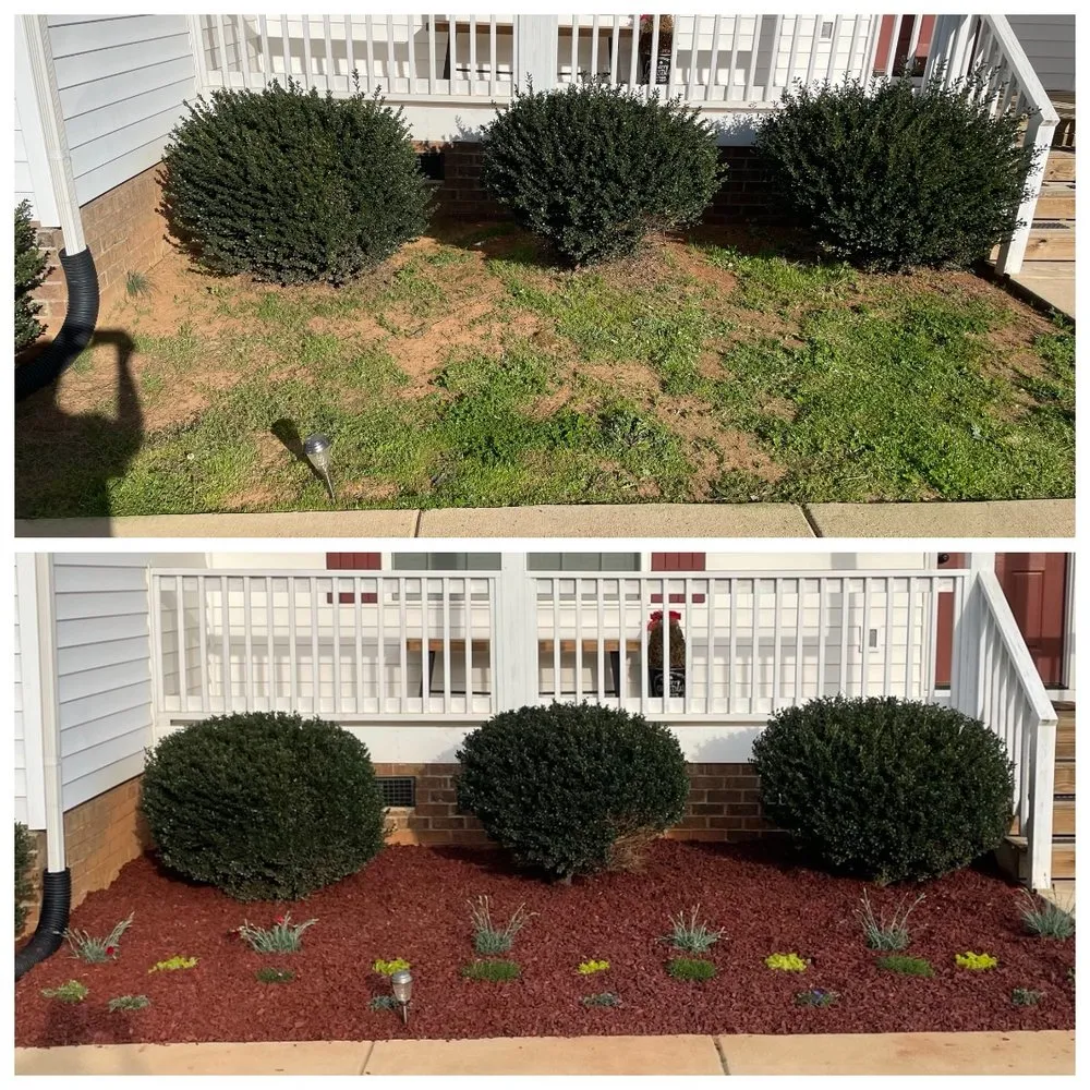 Top-rated yard maintenance experts serving York, SC - Parks Lawn Care