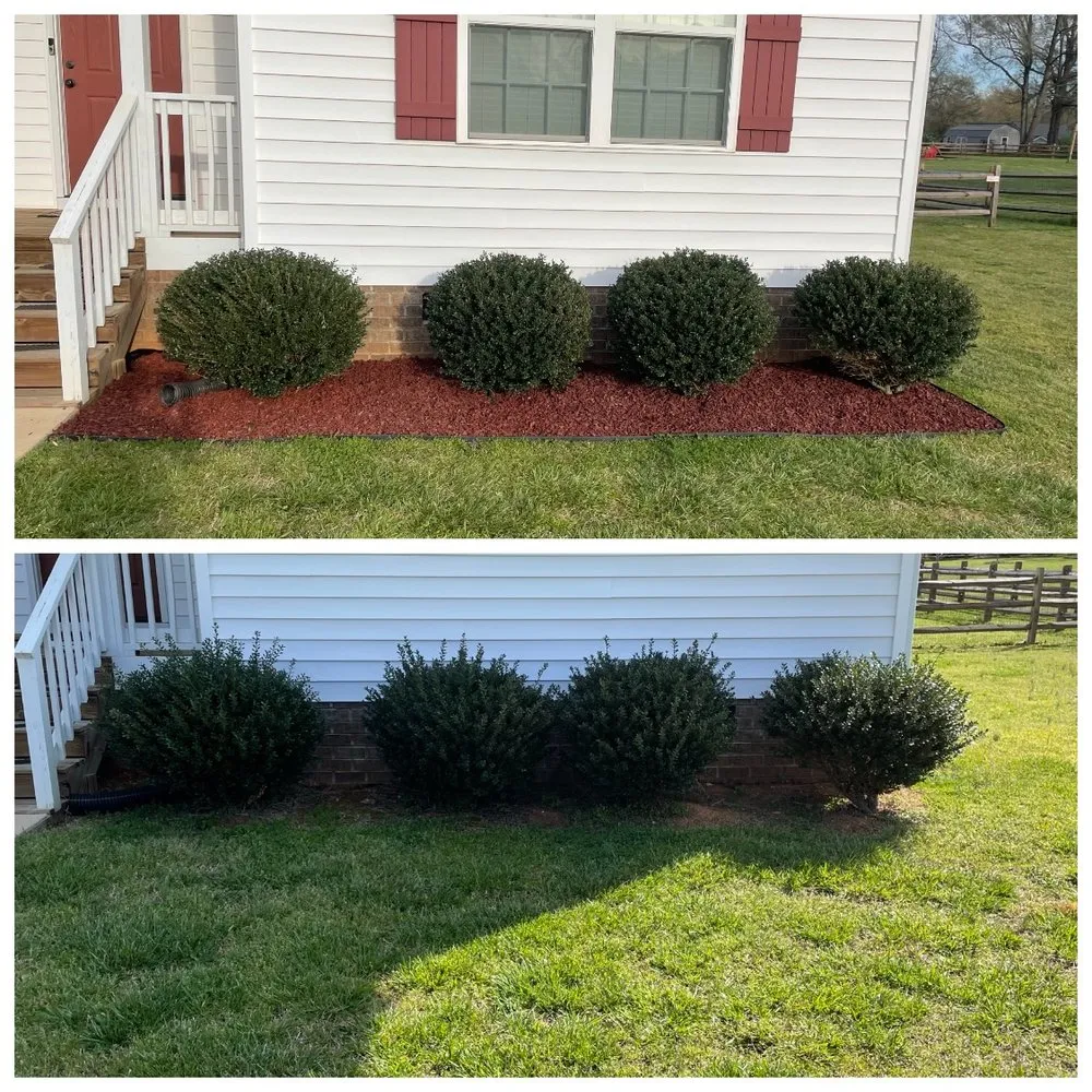 Top-rated yard cleanup service experts serving York, SC - Parks Lawn Care