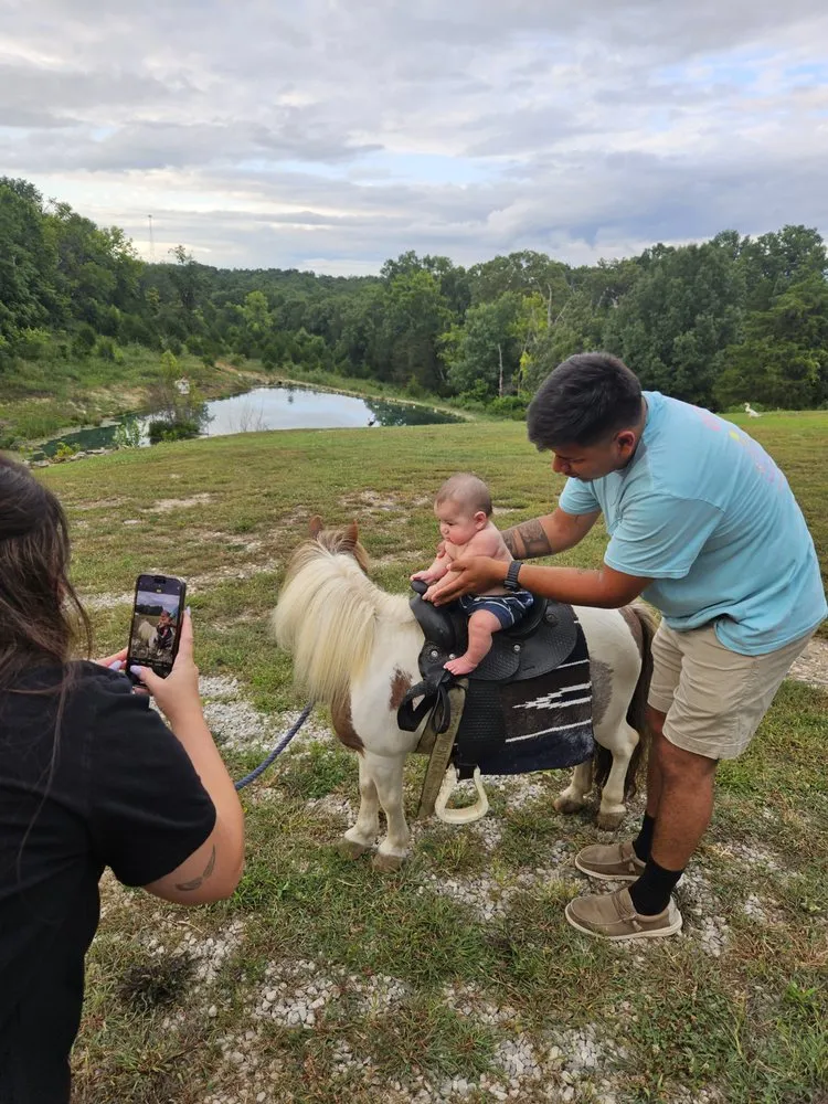 Professional landscape installation in Richmond, KY - Parks Livestock and Contracting
