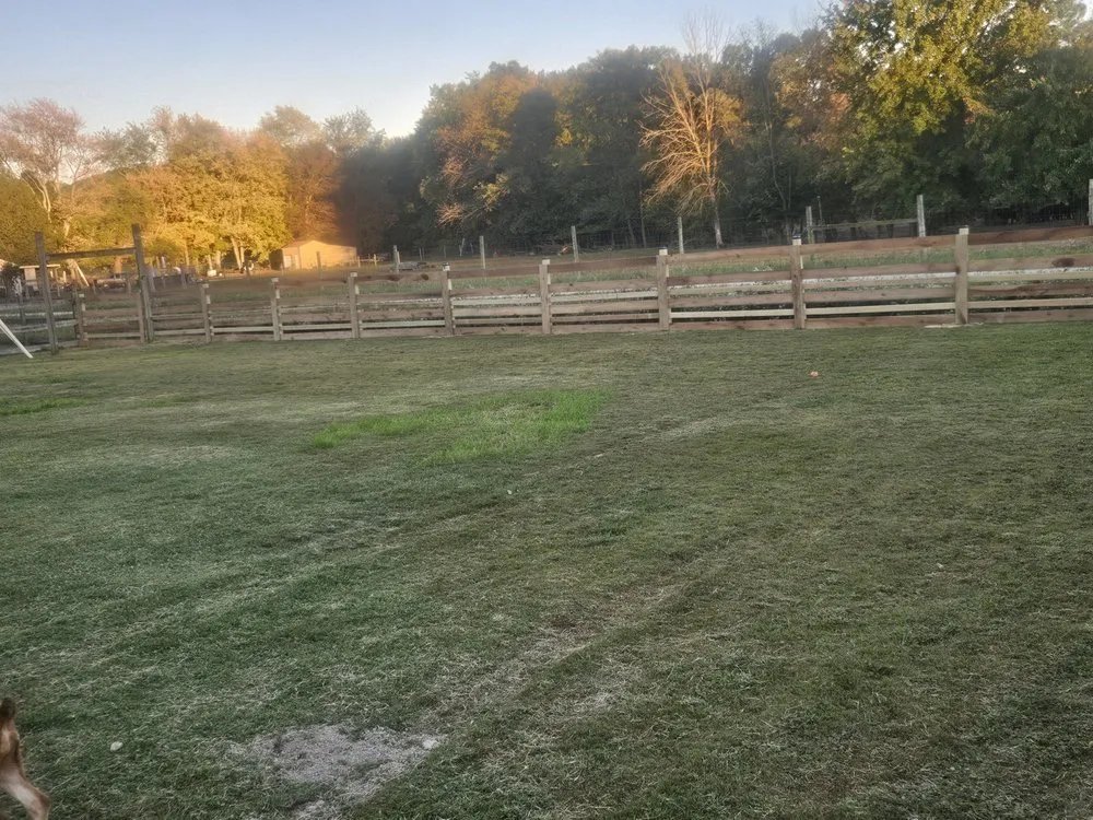 Custom yard cleanup service for homes across Richmond, KY - Parks Livestock and Contracting