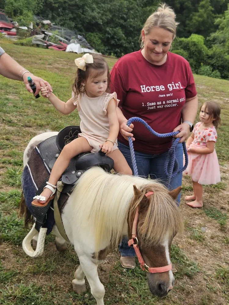 Local landscape design near you in Richmond, KY by Parks Livestock and Contracting