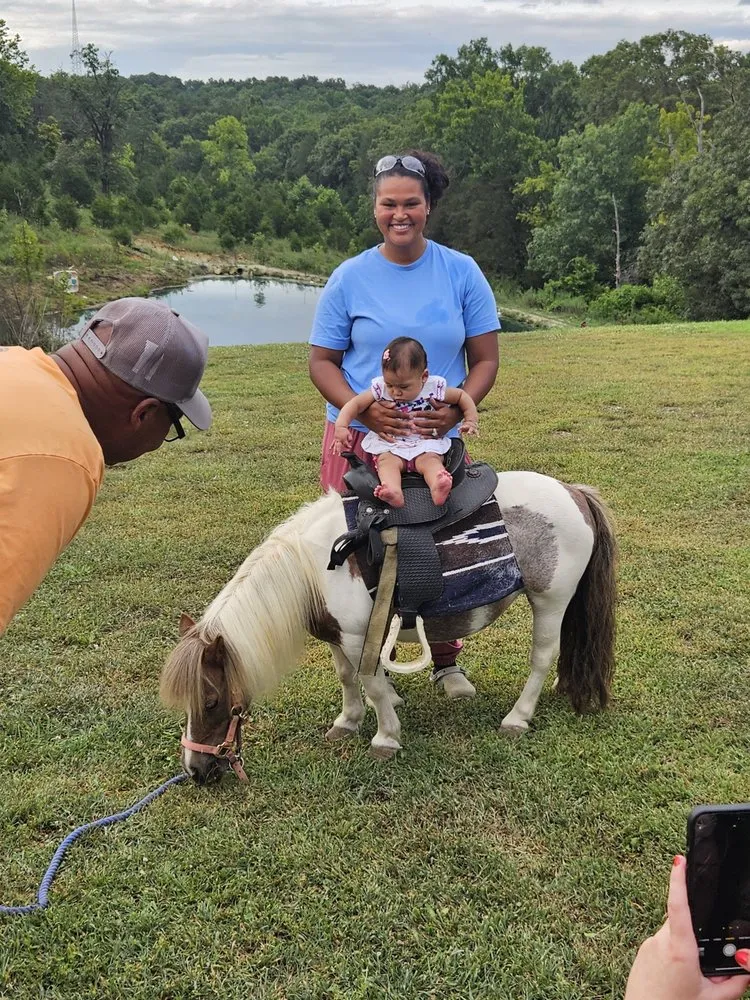 Top-rated outdoor landscaping in Richmond, KY by Parks Livestock and Contracting