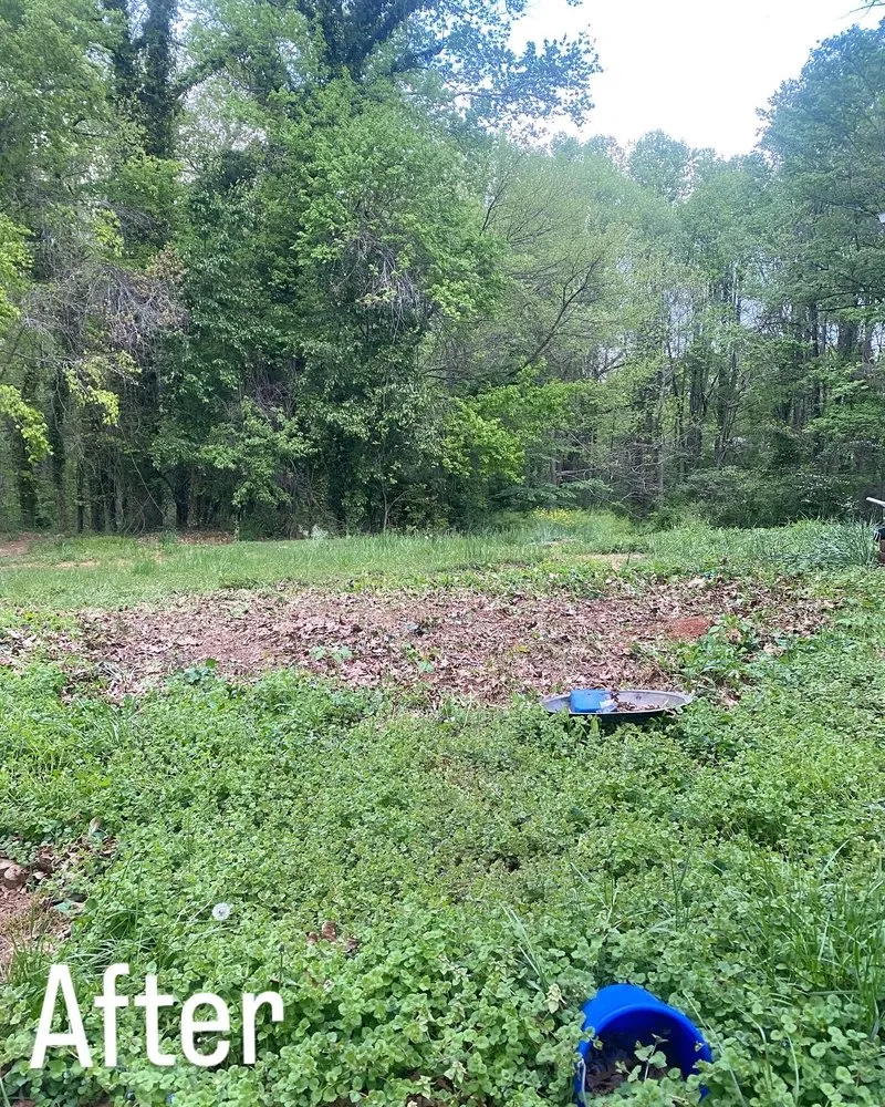 Top-rated lawn mowing service for outdoor upgrades across Winston-Salem, NC - Parks Tree & Landscape