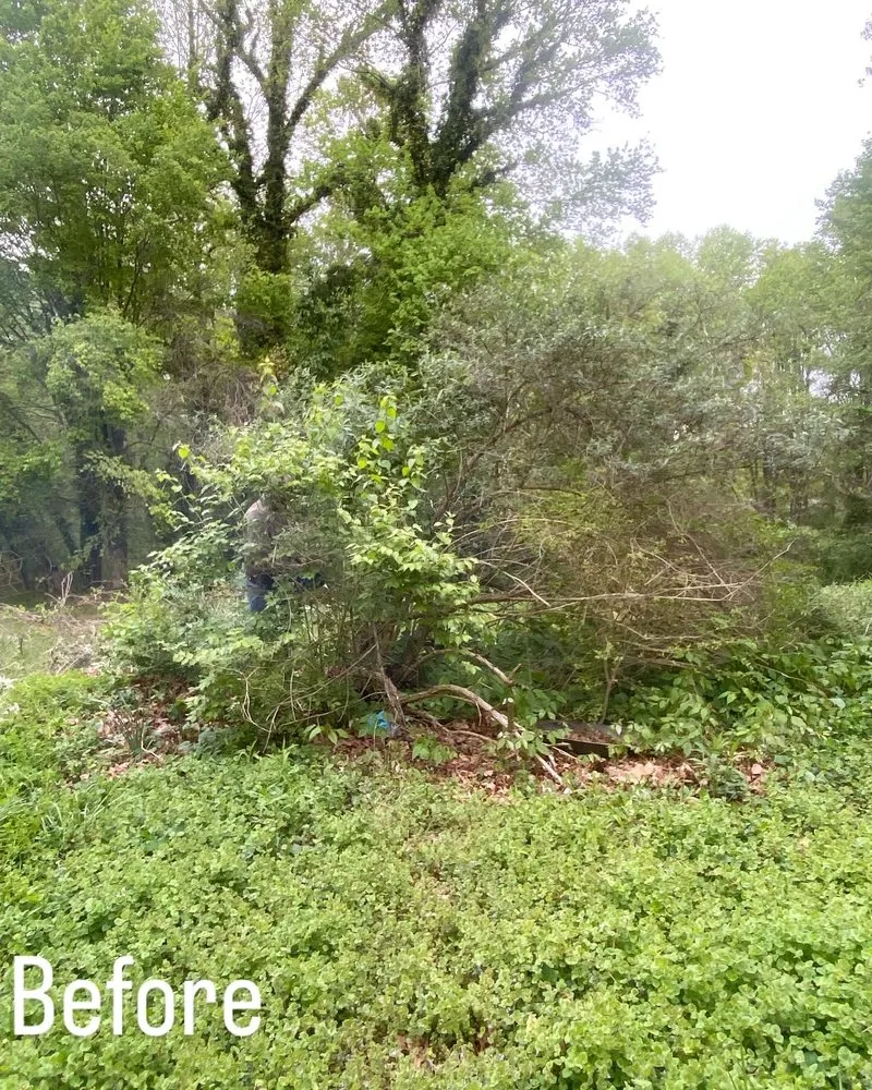 Local landscape installation for homes in Winston-Salem, NC by Parks Tree & Landscape