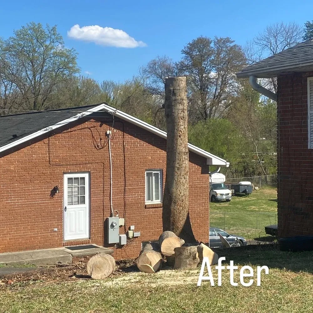 Top-rated landscape design for year-round maintenance across Winston-Salem, NC - Parks Tree & Landscape