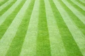 Expert lawn mowing service in Eastlake, OH by Parks Tree