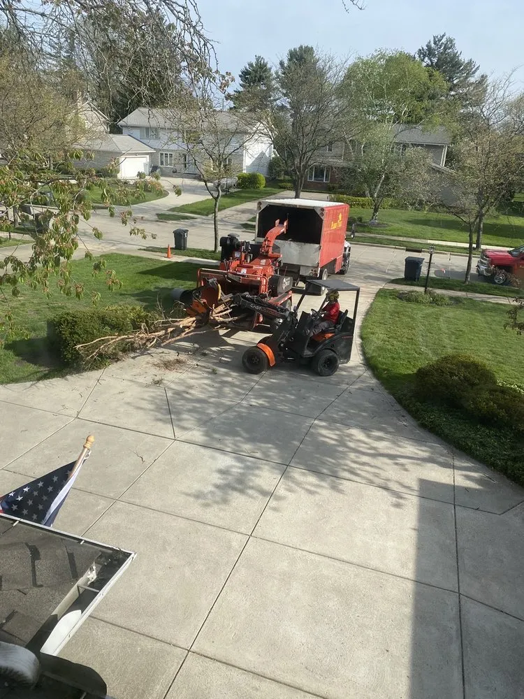 Professional landscaping services in Eastlake, OH by Parks Tree