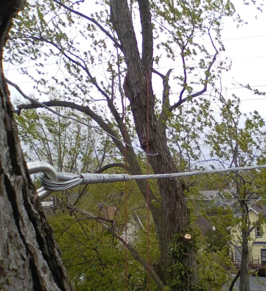 Reliable garden landscaping for outdoor upgrades in Westlake, OH by Parks Tree West