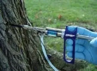 Trusted lawn care service in Westlake, OH - Parks Tree West