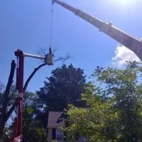 Top-rated garden landscaping in Westlake, OH - Parks Tree West