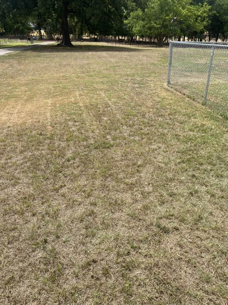 Reliable yard maintenance in Gilmer, TX by Parks Yard Company