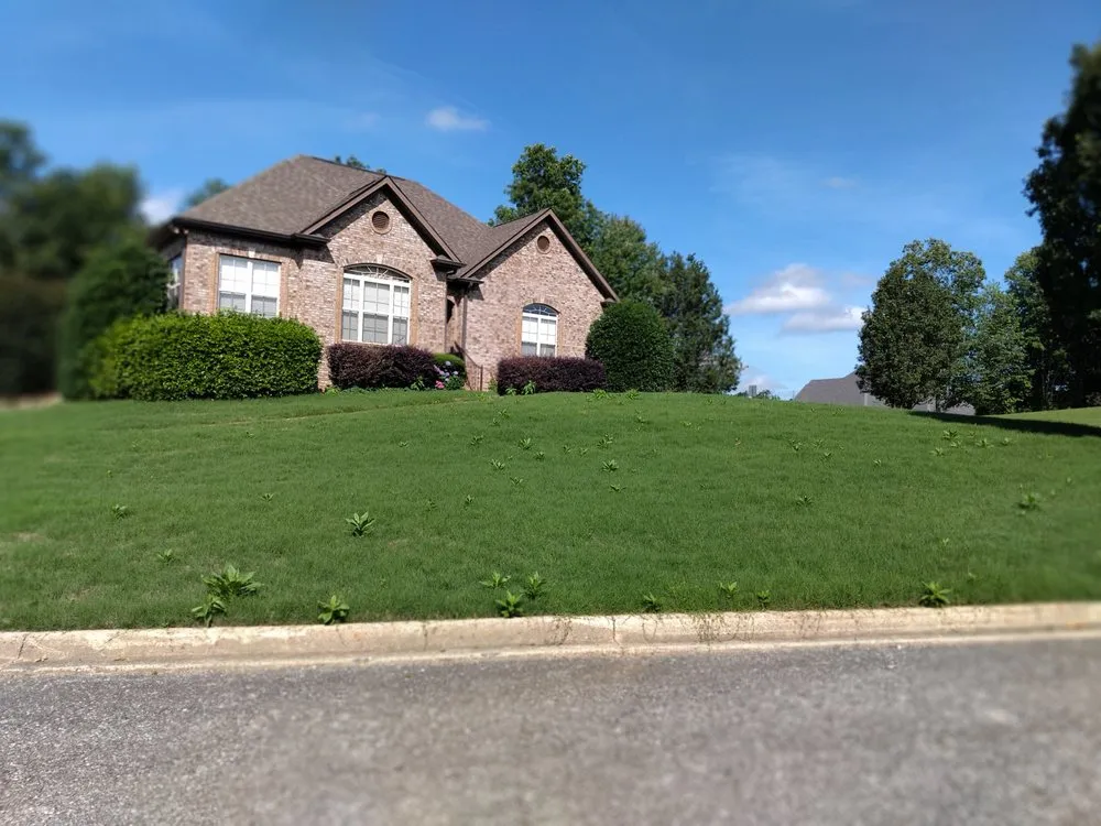 Trusted outdoor landscaping experts serving Midfield, AL - Parkscrew Lawn Care Service