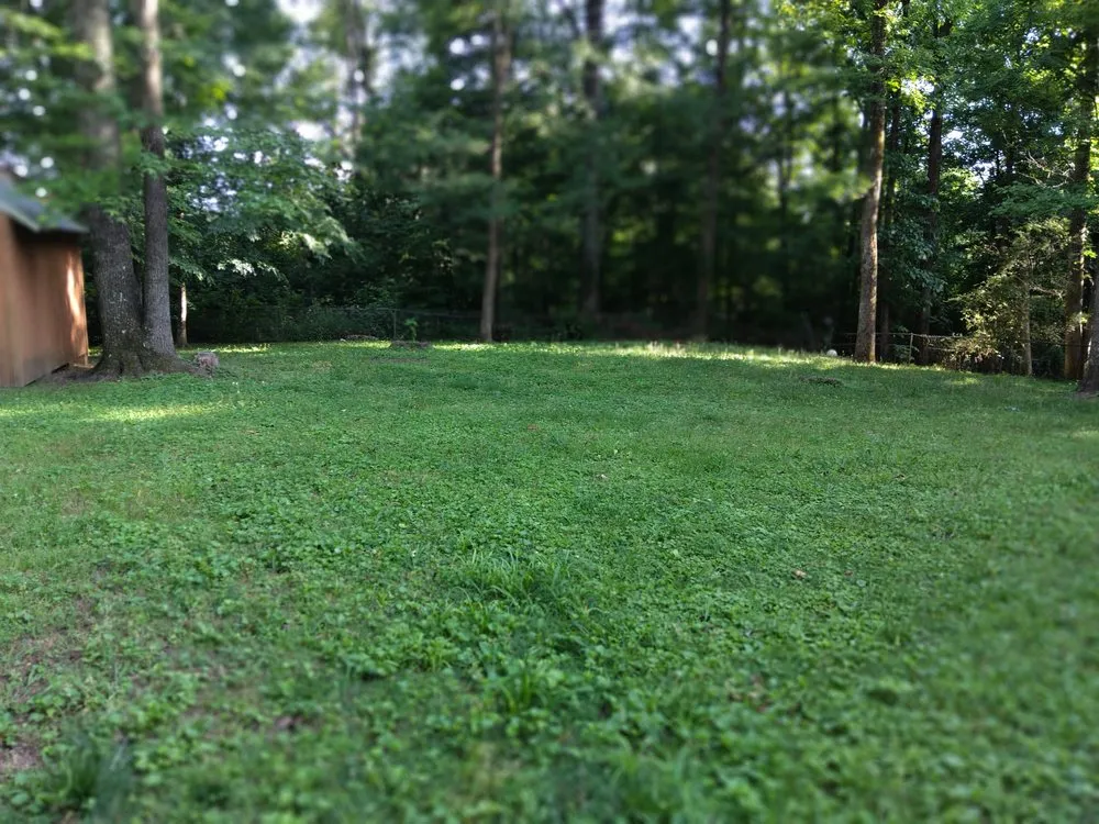 Top-rated residential landscaping experts serving Midfield, AL - Parkscrew Lawn Care Service