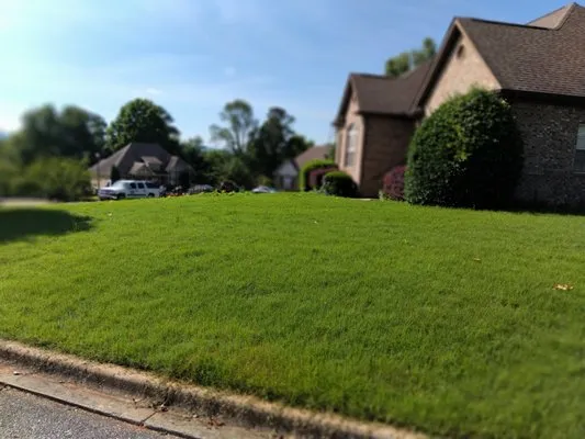 Parkscrew Lawn Care Service