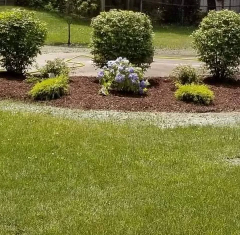 Expert yard maintenance for homes across Toledo, OH - Parkside landscape and maitnance