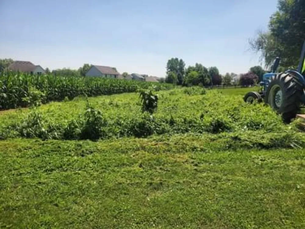 Local landscaping services for year-round maintenance across Toledo, OH - Parkside landscape and maitnance