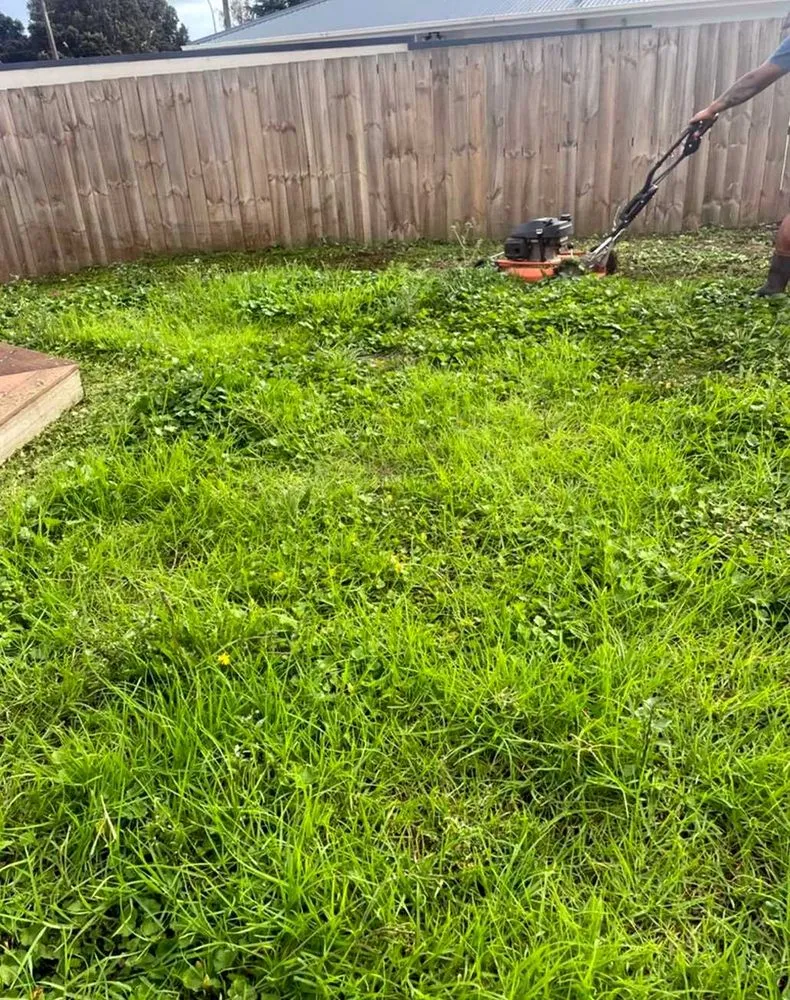 Local outdoor landscaping for residential properties in Sacramento, CA by Parkside Lawn Care