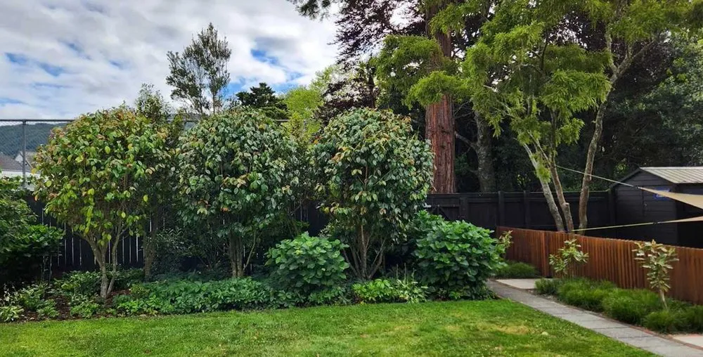 Top-rated outdoor landscaping in Sacramento, CA - Parkside Lawn Care