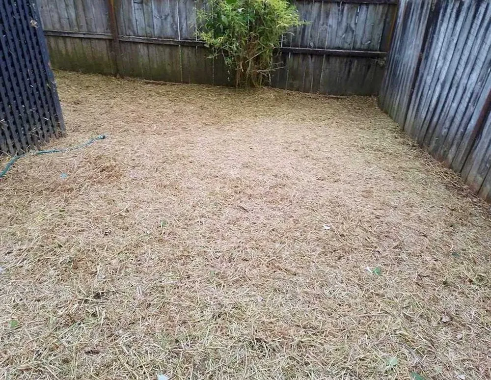 Custom landscape design for outdoor upgrades across Sacramento, CA - Parkside Lawn Care