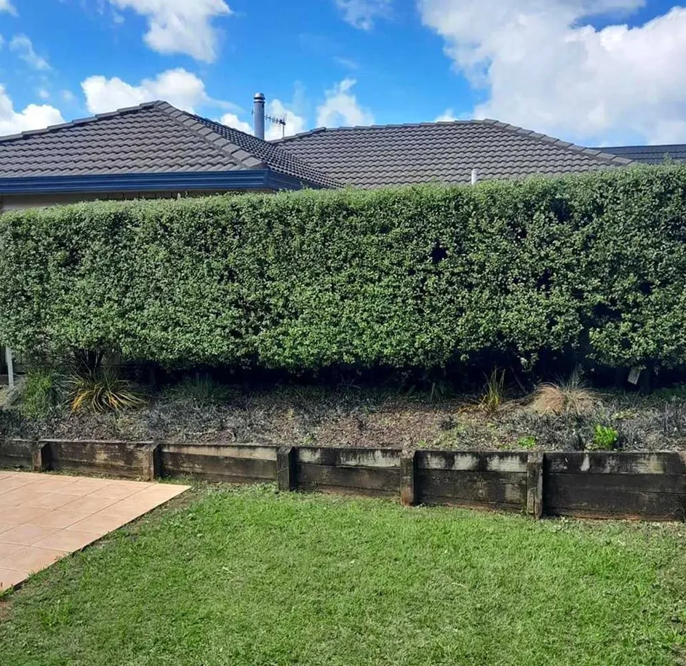 Trusted landscape design in Sacramento, CA - Parkside Lawn Care