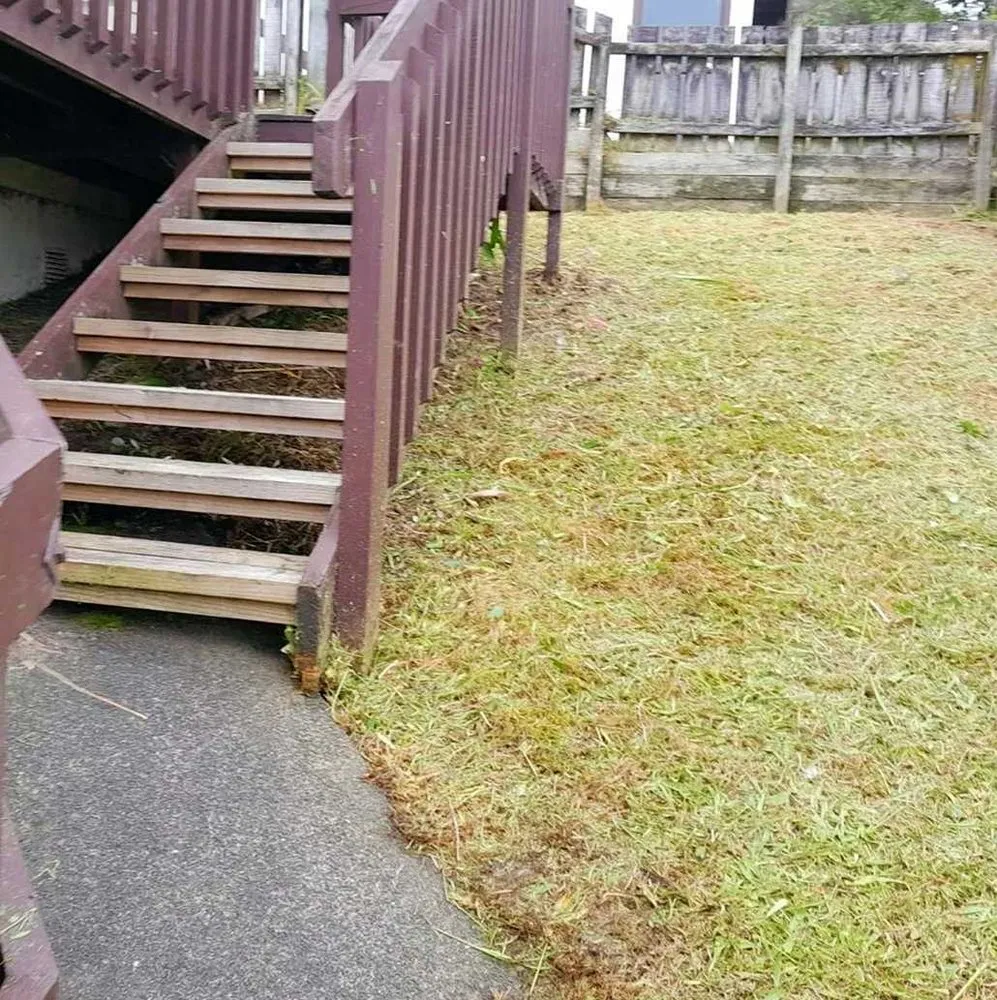 Trusted yard cleanup service for residential properties in Sacramento, CA by Parkside Lawn Care