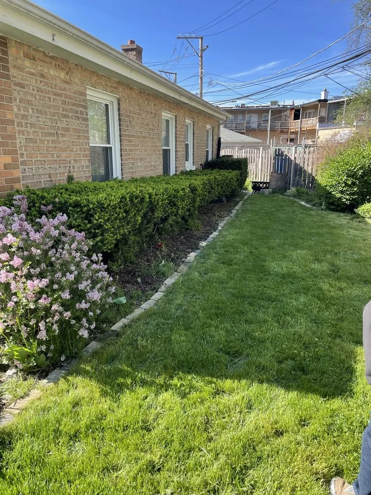 Professional yard cleanup service for homes across Justice, IL - Parkview Landscapes